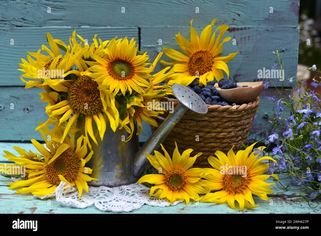 Wunderschönes Stillleben mit Sonnenblumen und blauen Beeren im Garten. Romantische Grußkarte für Geburtstag, Valentinstag, Muttertagskonzept. Sommer Countr Stockfoto