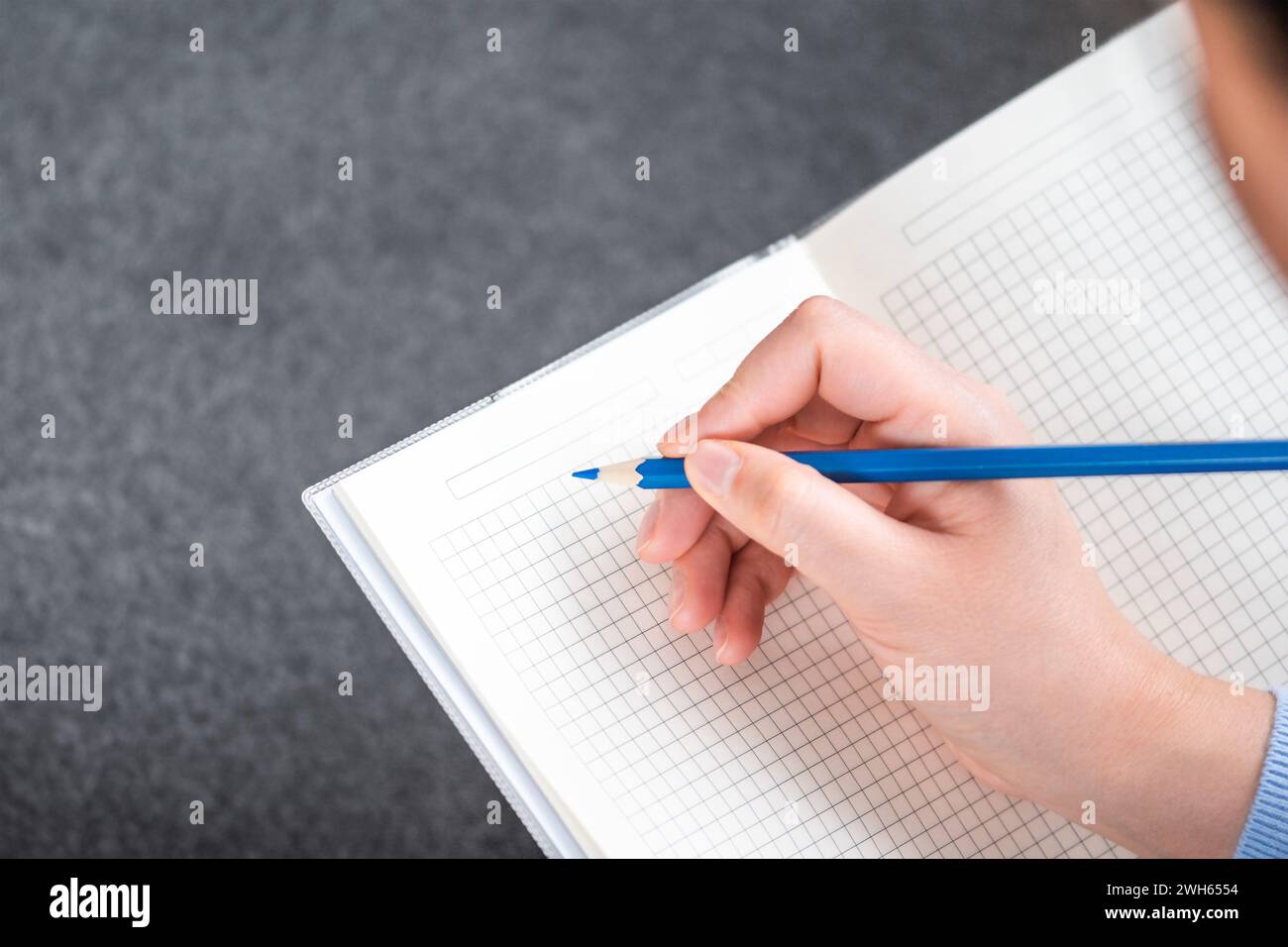 Rückansicht einer unerkennbaren Frau, die in einem Tagebuch schreibt. Das Mädchen schaut sich ihr Notizbuch an. Online-Bildung Stockfoto