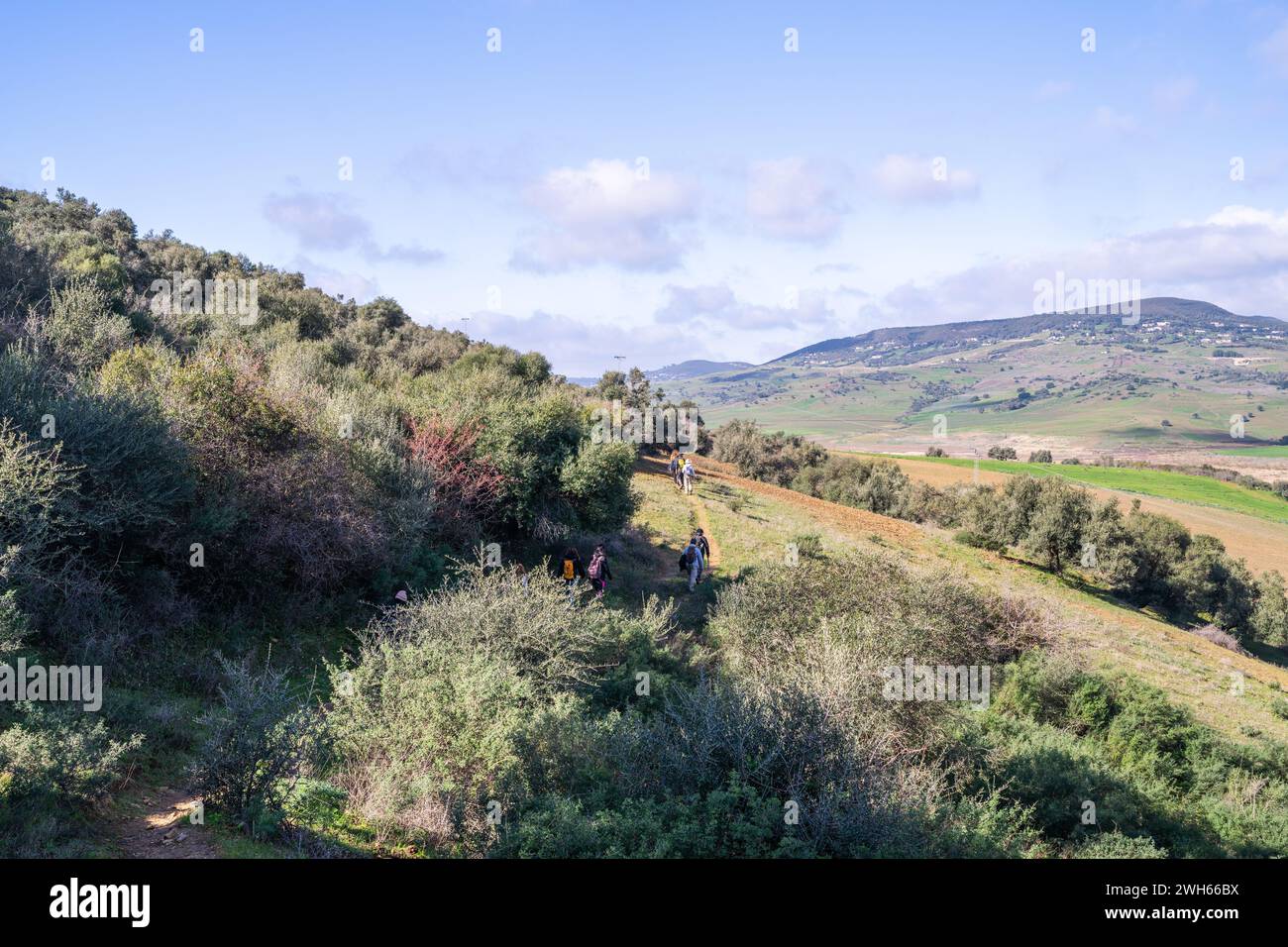 Landschaft des nördlichen Tunesiens - Sejnene - Tunesien Stockfoto