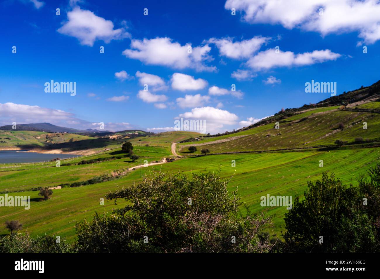 Landschaft des nördlichen Tunesiens - Sejnene - Tunesien Stockfoto