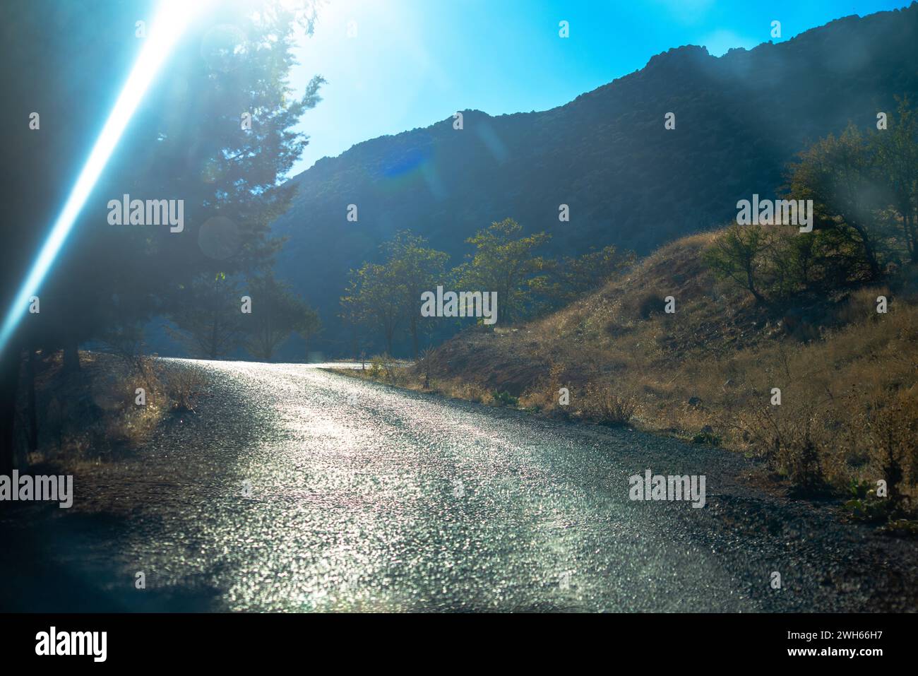 Eine sonnendurchflutete Straße in der Natur lädt zu einer malerischen Reise durch idyllische Landschaften ein und verspricht ein Abenteuer voller Wärme und Ruhe. Stockfoto