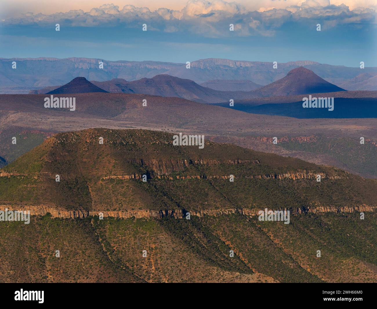 Camdeboo Nationalpark Januar Eastern Cape Südafrika Januar Stockfoto