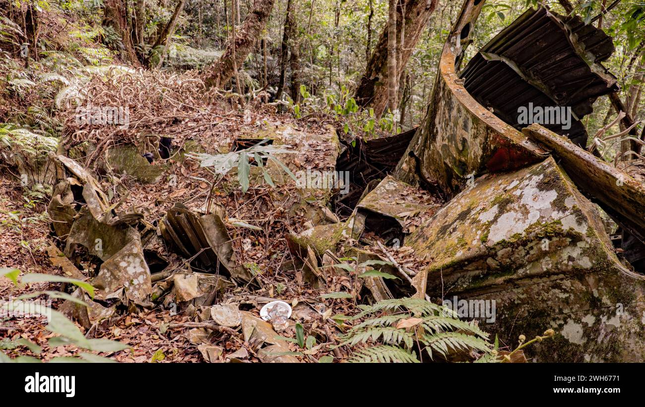 Das Wrack eines abgestürzten Passagierflugzeugs. Das Flugzeug fiel zu Boden. Stockfoto