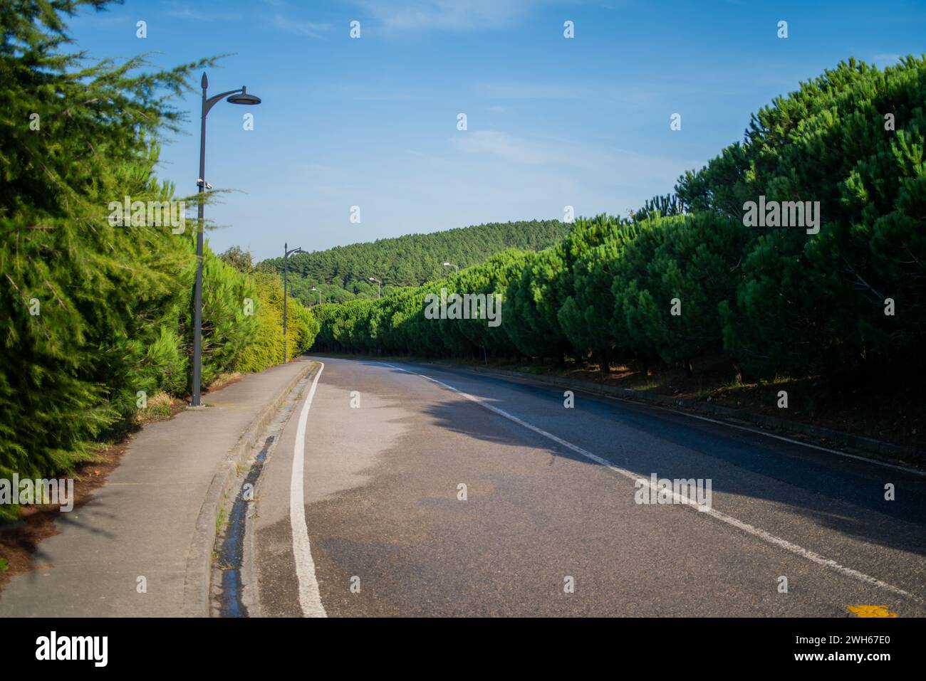 Ein ruhiger Blick auf eine regnerische Asphaltstraße in der Natur, deren nasse Oberfläche vor Feuchtigkeit glitzert und die Ruhe einer grauen, feuchten Landschaft einfängt. Stockfoto