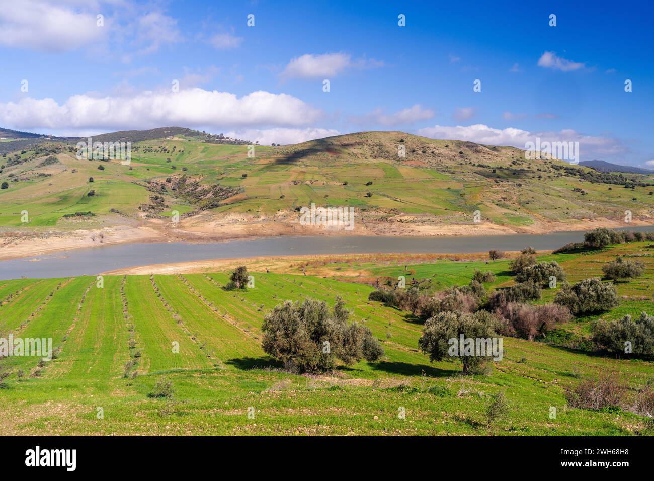 Landschaft des nördlichen Tunesiens - Sejnene - Tunesien Stockfoto