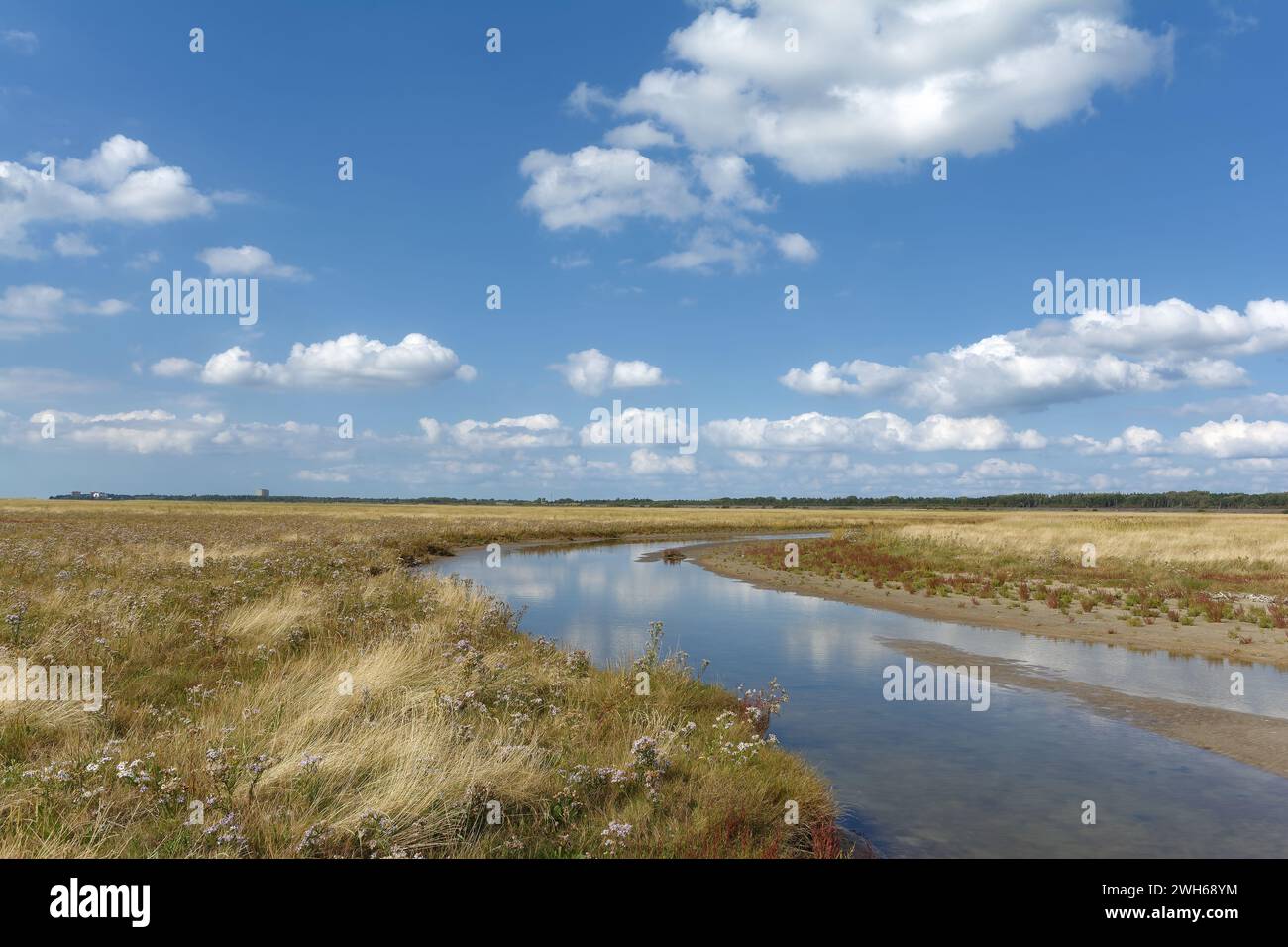Salzmarsch in Sankt Peter-Ording auf der Halbinsel Eiderstedt, Nordsee, Nordfriesland, Deutschland Stockfoto