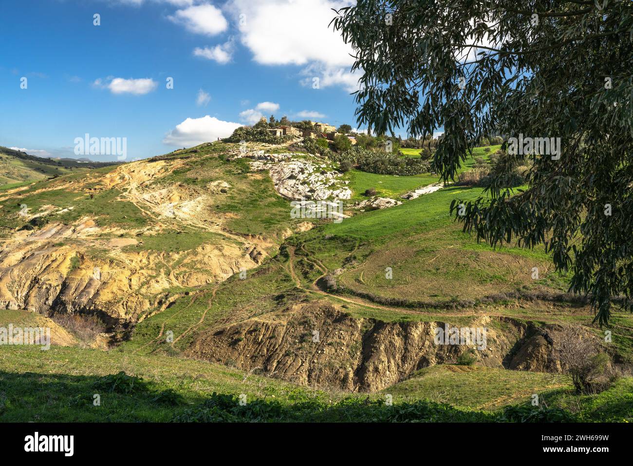 Landschaft des nördlichen Tunesiens - Sejnene - Tunesien Stockfoto