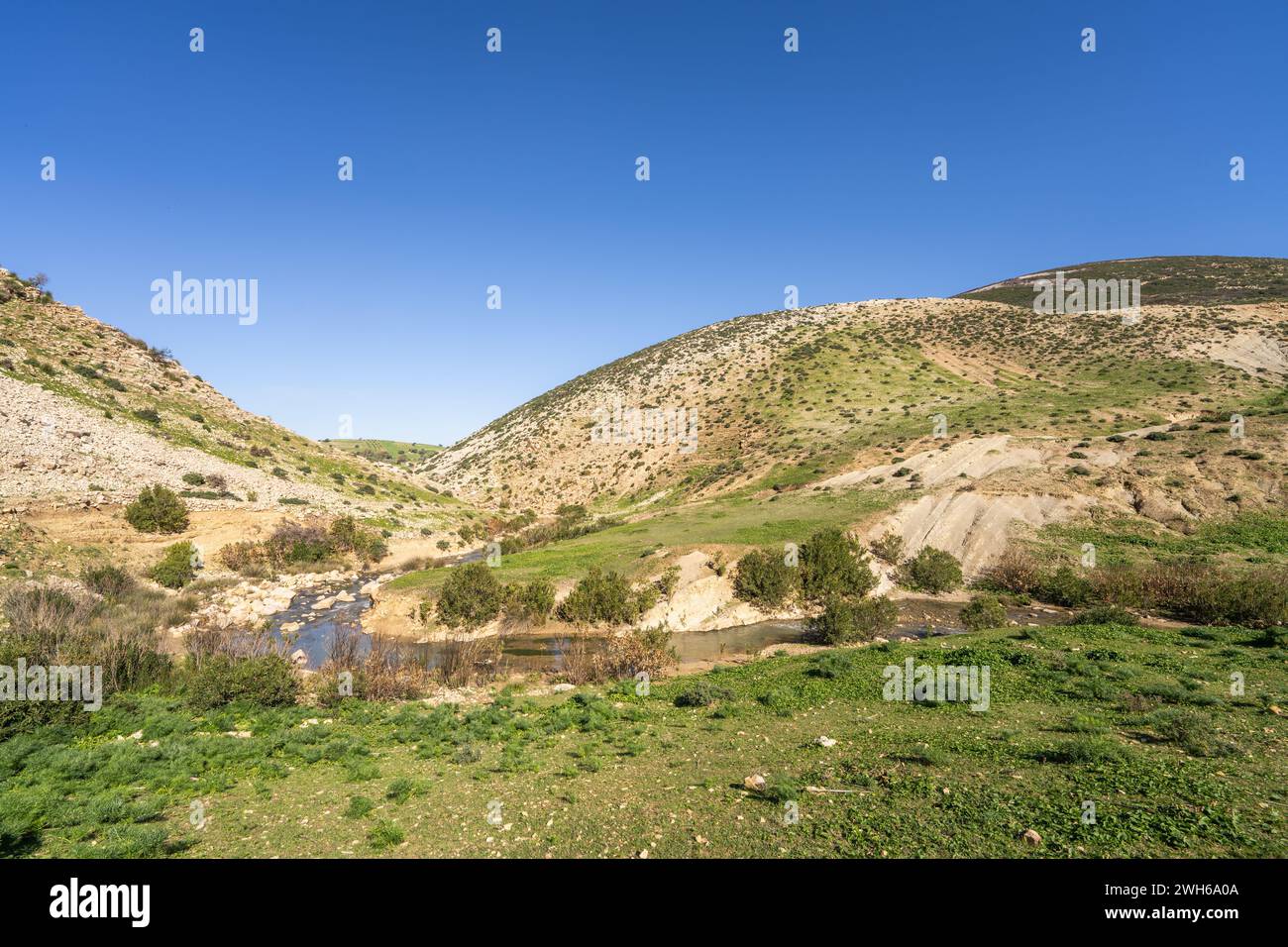 Landschaft des nördlichen Tunesiens - Sejnene - Tunesien Stockfoto