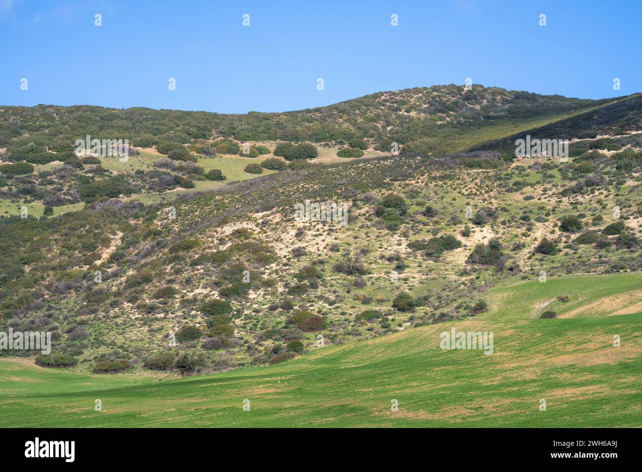 Landschaft des nördlichen Tunesiens - Sejnene - Tunesien Stockfoto