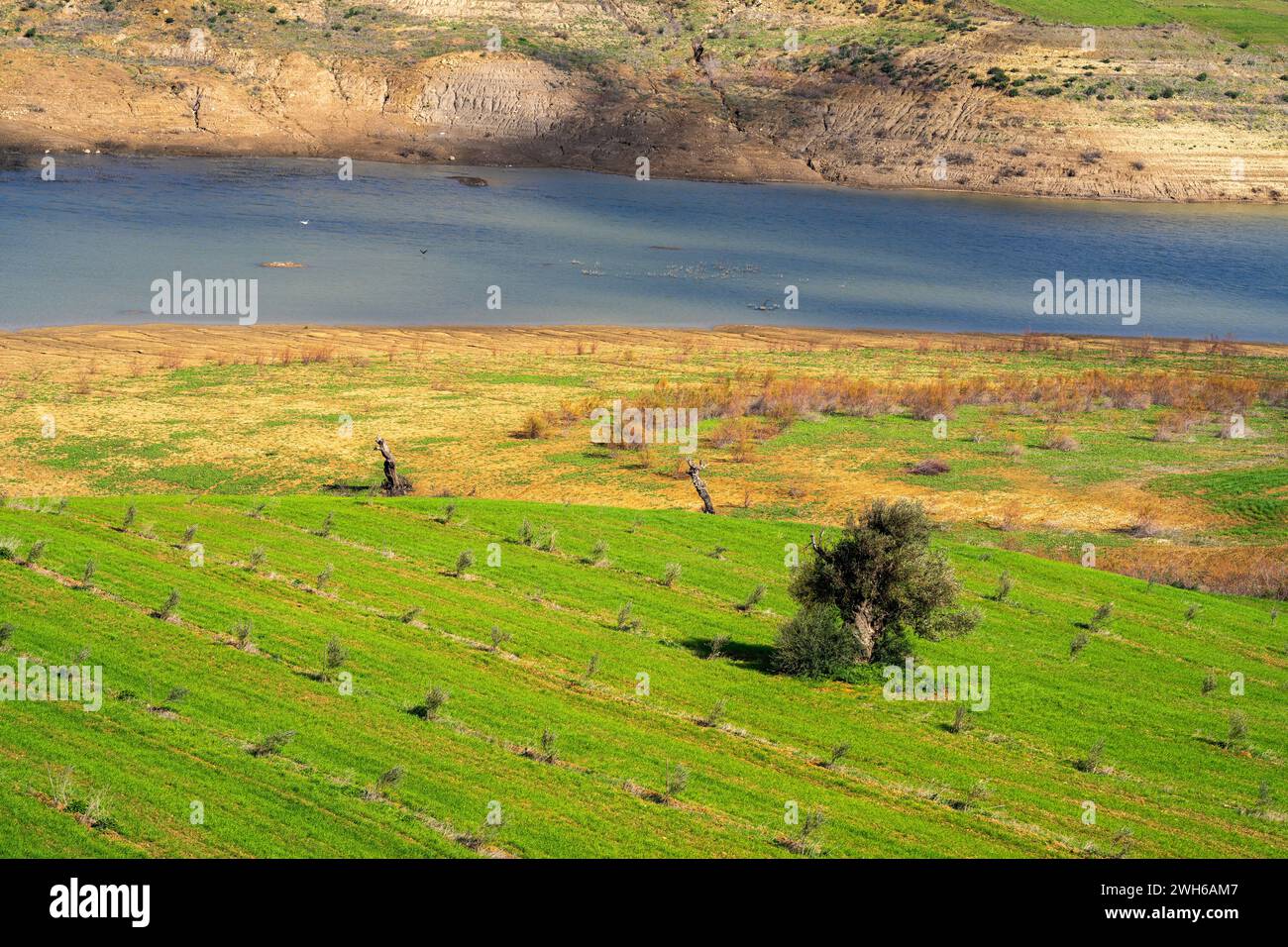 Landschaft des nördlichen Tunesiens - Sejnene - Tunesien Stockfoto