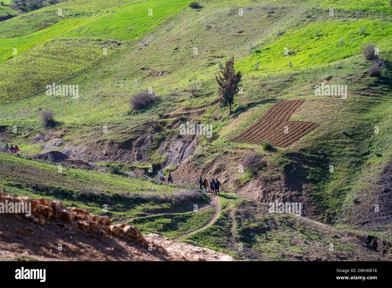 Landschaft des nördlichen Tunesiens - Sejnene - Tunesien Stockfoto