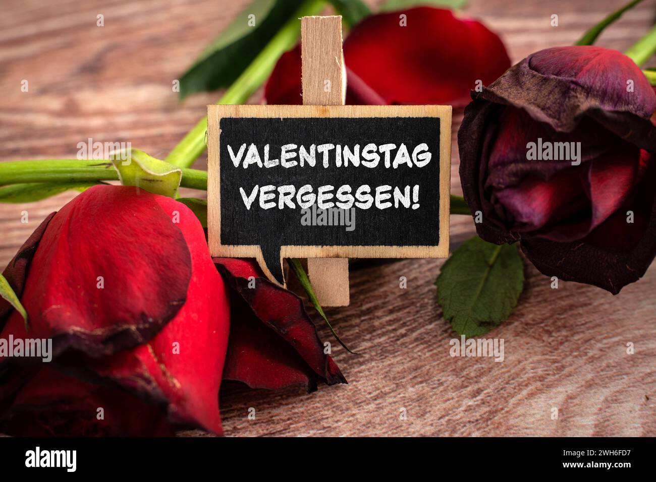 8. Februar 2024: Vergessen Sie den Valentinstag auf einem Schild neben verwelkten Rosen FOTOMONTAGE *** Valentinstag Vergessen Schrift auf einem Schild neben verwelkten Rosen FOTOMONTAGE Stockfoto