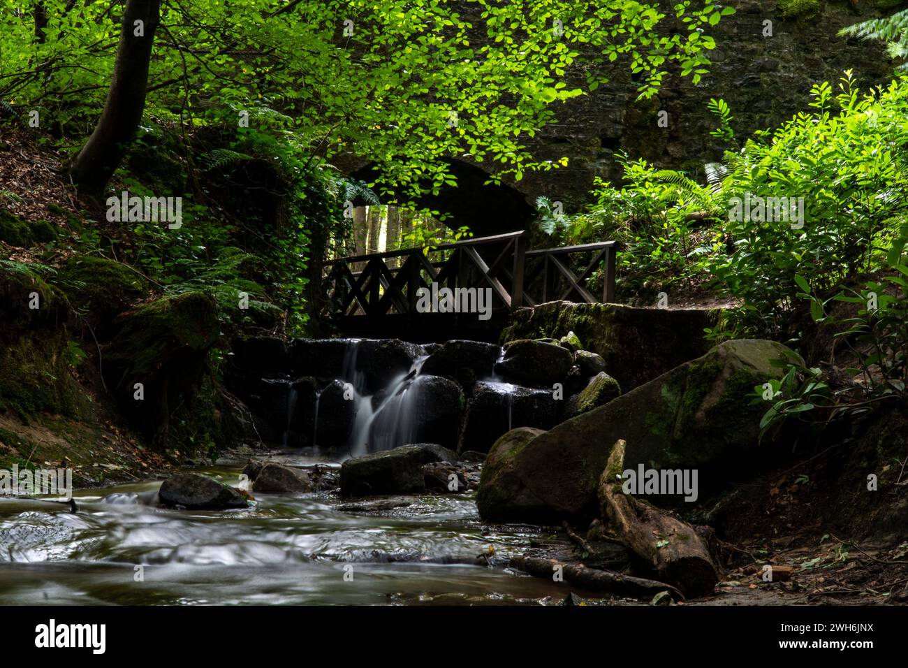 Ein ruhiger Bach schlängelt sich unter einer malerischen Brücke, umgeben von hohen Felsen und Laub Stockfoto