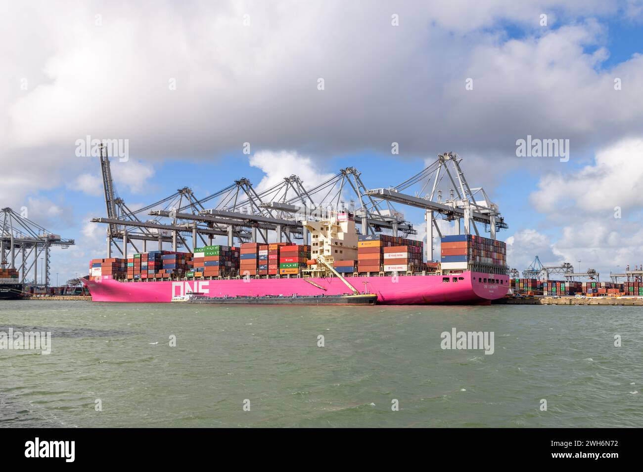 MAASVLAKTE, ROTTERDAM, NIEDERLANDE - 17. MÄRZ 2019: Das Containerschiff One Continuity liegt am Delta Terminal im Hafen von Maasvlakte Stockfoto