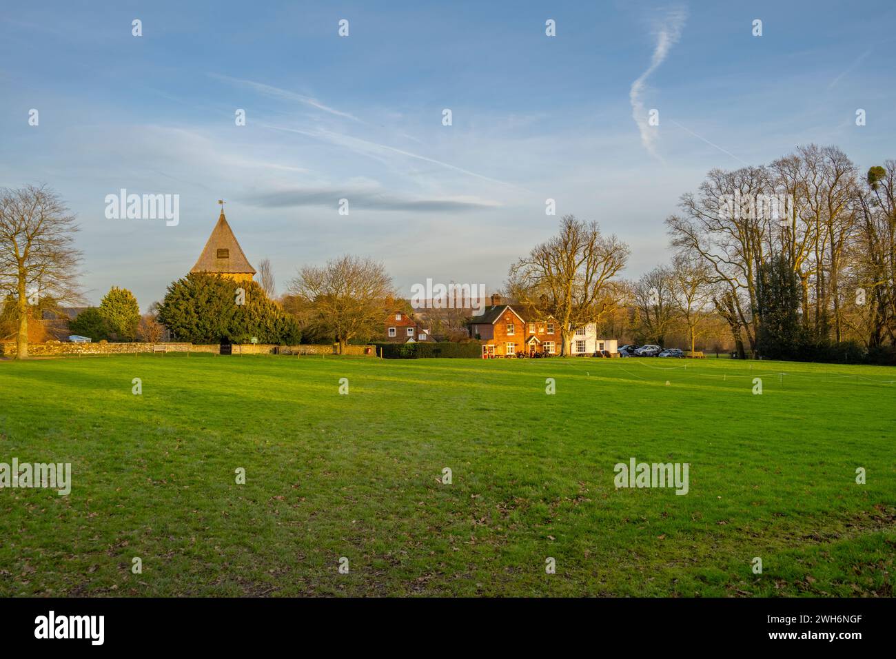 Das Village Green und der Swan Pub West Peckham Kent Stockfoto