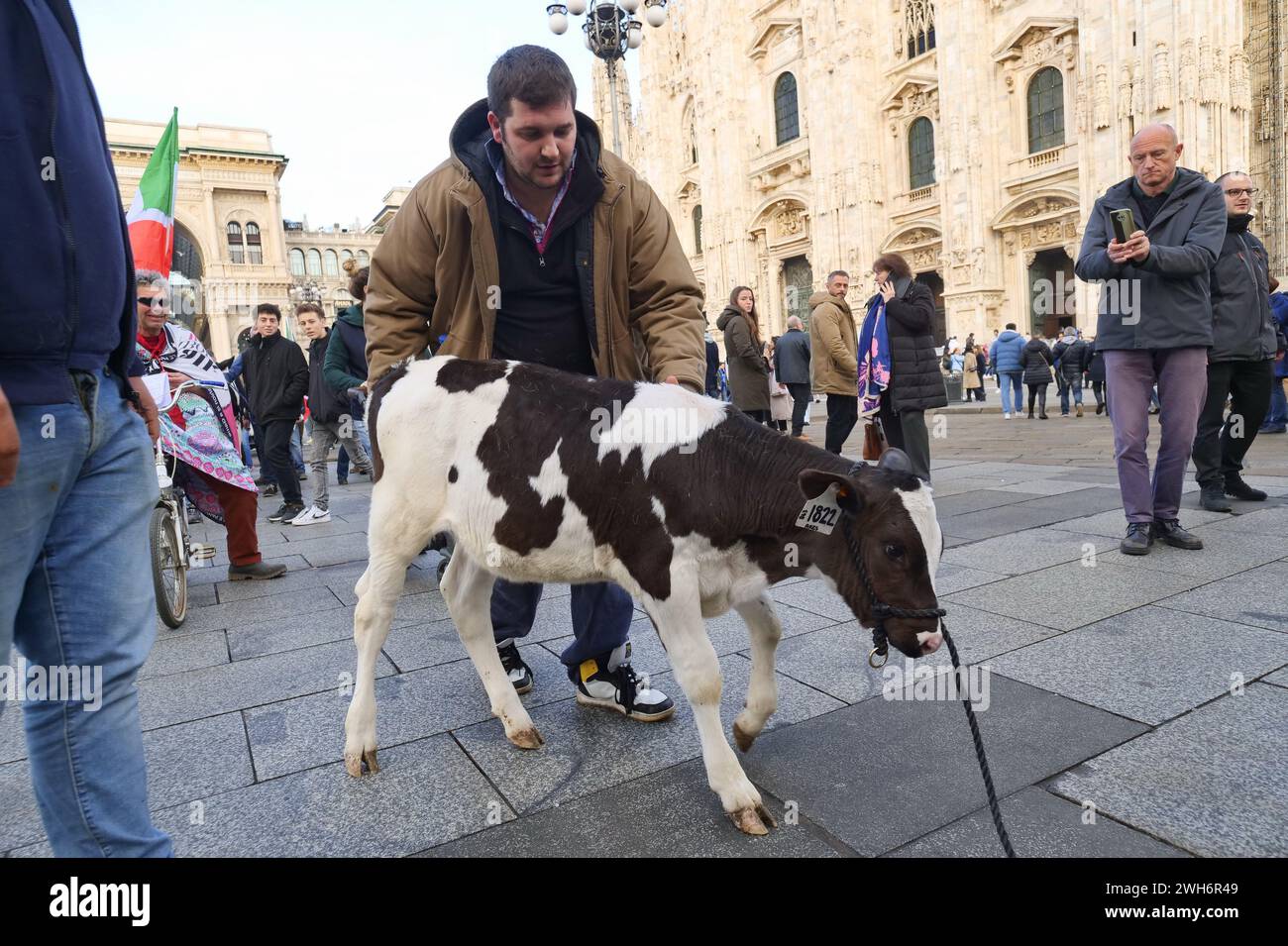 Protest der Bauern in Italien auf dem Domplatz Mailand mit der Kuh Ercolina Stockfoto