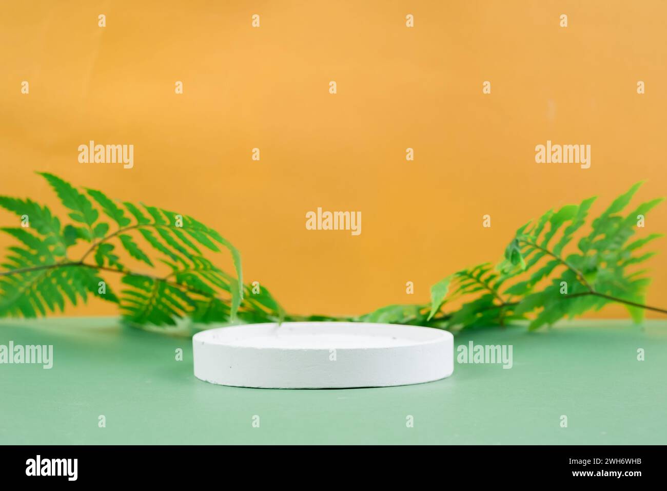 Minimalistisches leeres weißes Podium auf gelbem Hintergrund zur Produktanzeige Stockfoto