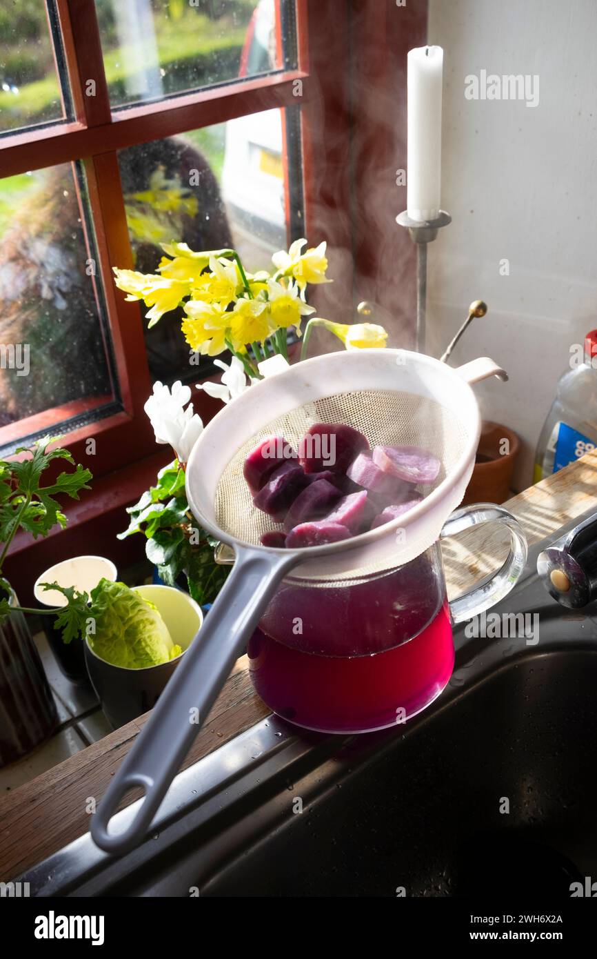 Gekochte dampfende lila Süßkartoffelscheiben in Scheiben geschnittenes rosafarbenes Wasser abtropfen im Sieb auf Waschbecken bei Narzissen Fenster in der Küche Frühling 2024 UK KATHY DEWITT Stockfoto