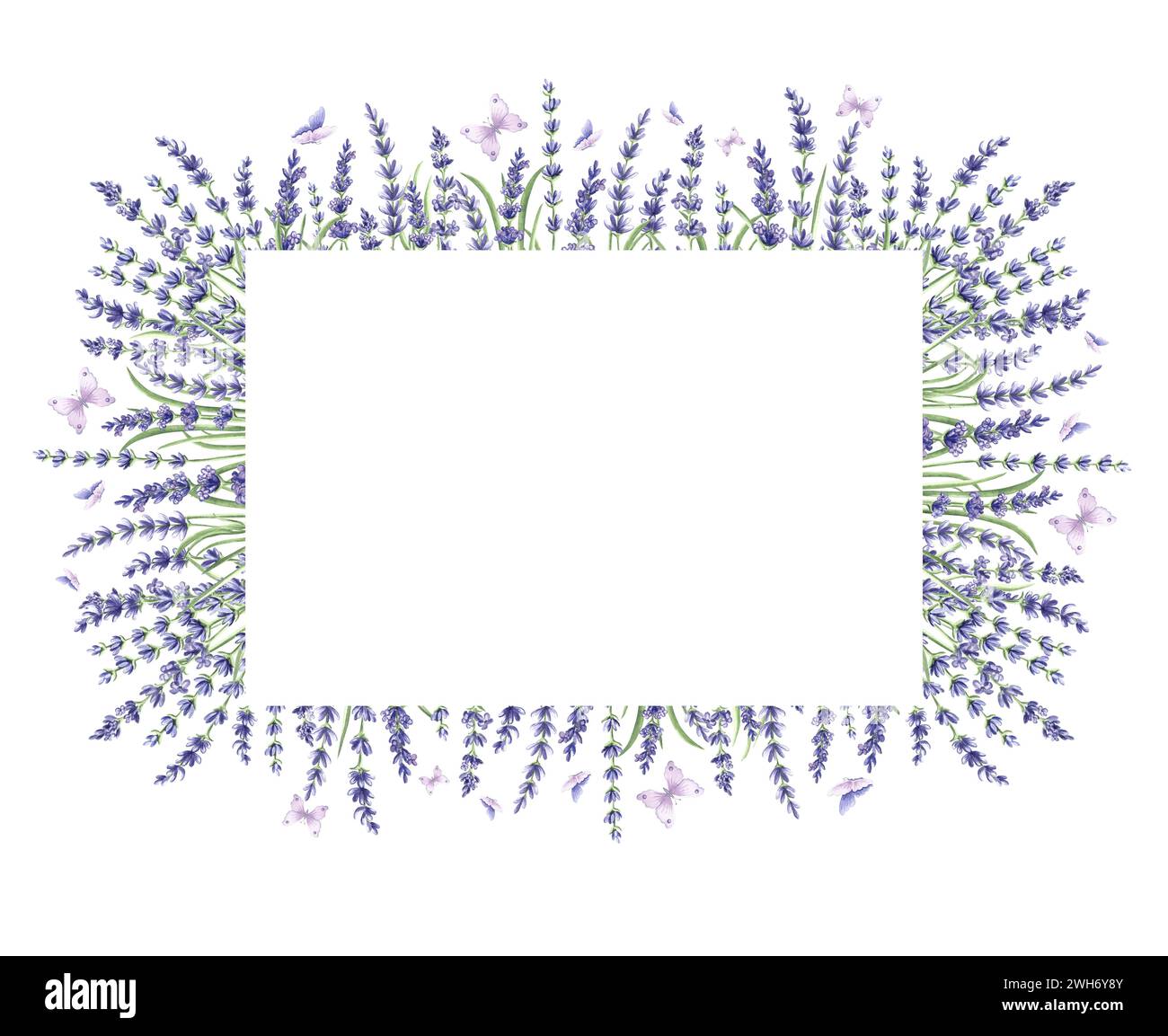 Horizontaler Aquarellrahmen aus violetten Lavendelblüten mit grünen Blättern und Schmetterlingen. Vorlage aus Kräutern mit Kopierraum. Isolierte Hand gezeichnet i Stockfoto