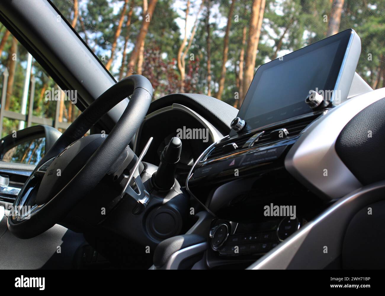 Unteransicht des Lenkrads und des mittleren Armaturenbretts des im Wald geparkten Fahrzeugs Stockfoto