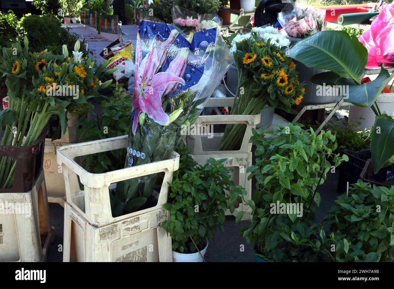 Blumenhändler verkauft Sonnenblumen auf dem Markt Vouliagmeni Athen Griechenland Stockfoto