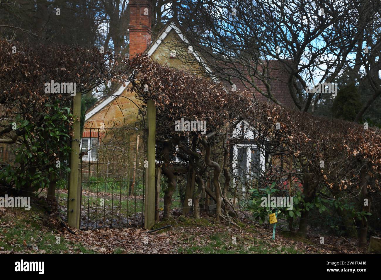 Friday Street am Nordhang von Leith Hill Copse Cottage und Garden Surrey England Stockfoto