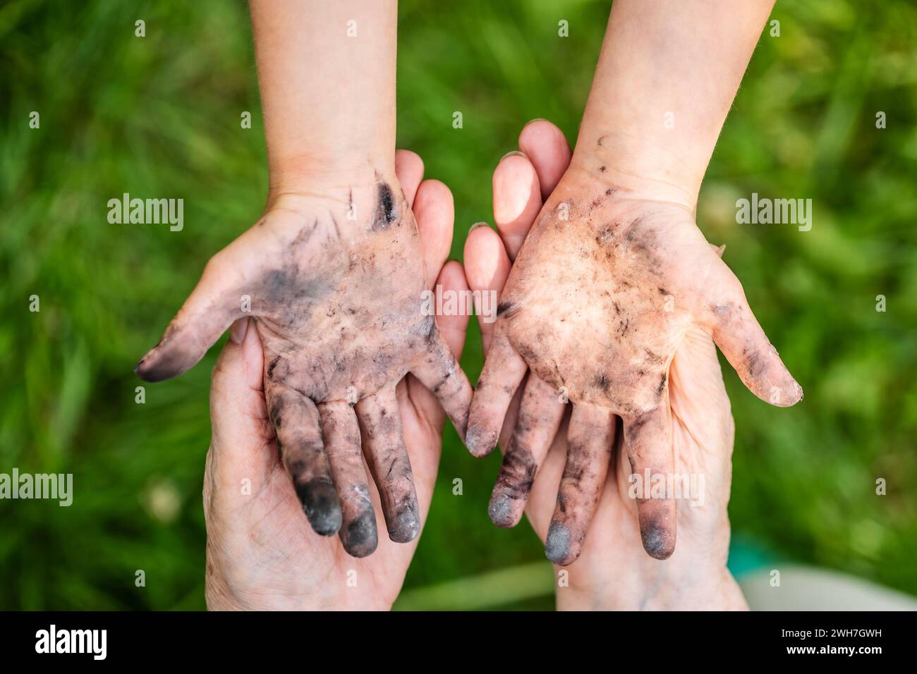 Ein kleines Mädchen zeigt ihre schmutzigen Hände, bedeckt mit schwarzer Asche, vom Spielen im Freien, die schwer abzuwaschen sind Stockfoto