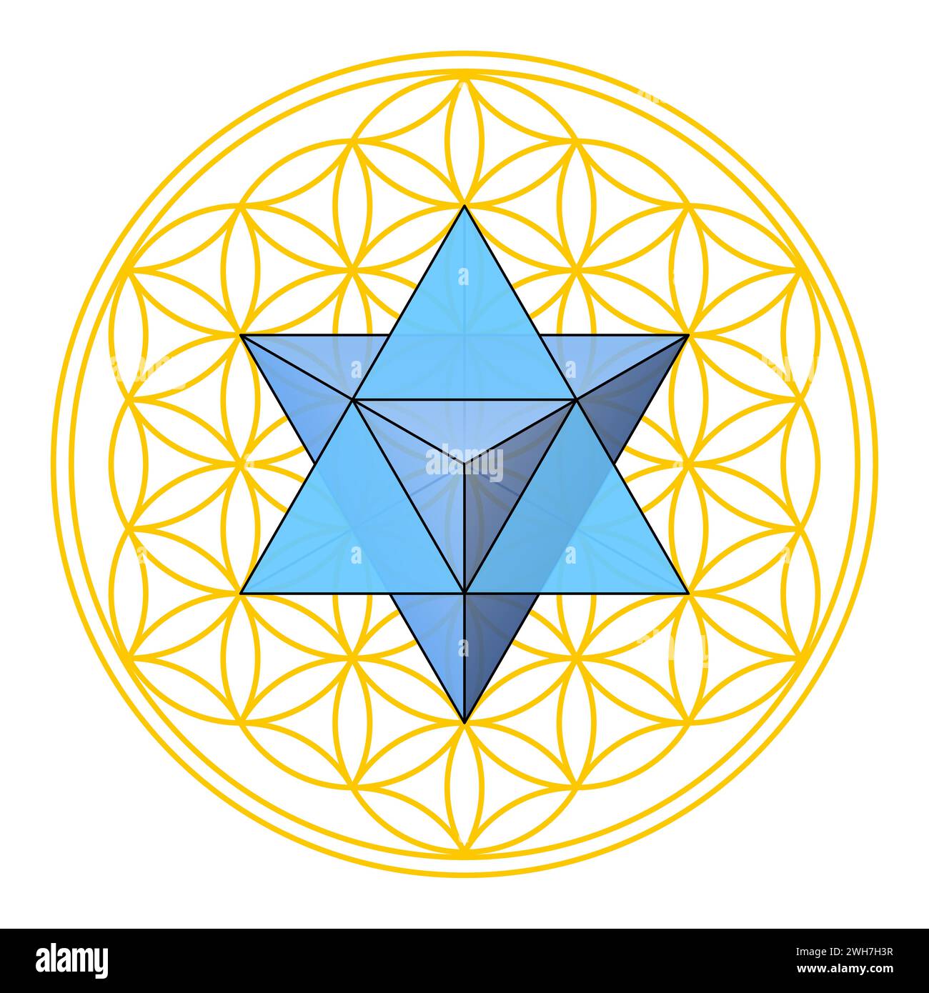 Blume des Lebens mit Merkaba, Heilige Geometrie. Sterntetraeder, ein Doppeltetraeder, im Zentrum der geometrischen Figur positioniert. Stockfoto