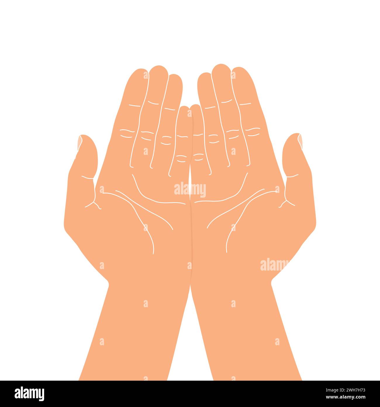 Handbewegung geben oder nehmen. Handschalen mit offenen Handflächen. Hände halten etwas vorsichtig. Vektorabbildung Stock Vektor