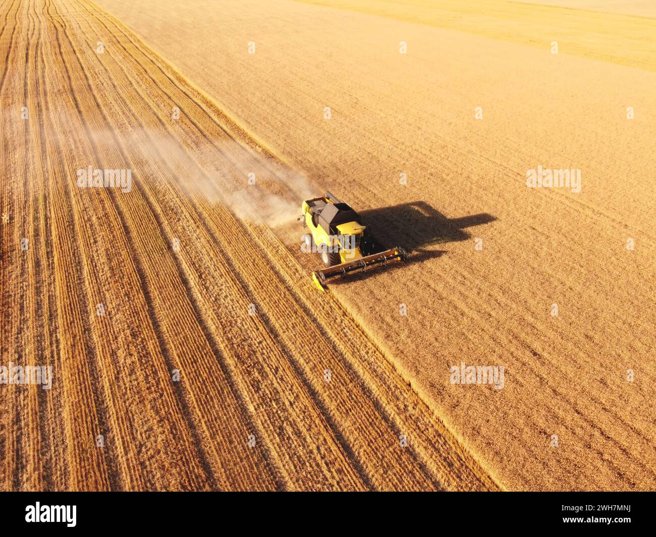 Mähdrescher Arbeiten Im Golden Wheat Field. Luftaufnahme, Landwirtschaftsarbeiten In Der Sommersaison. Weizenproduktion In Der Ukraine. Stockfoto