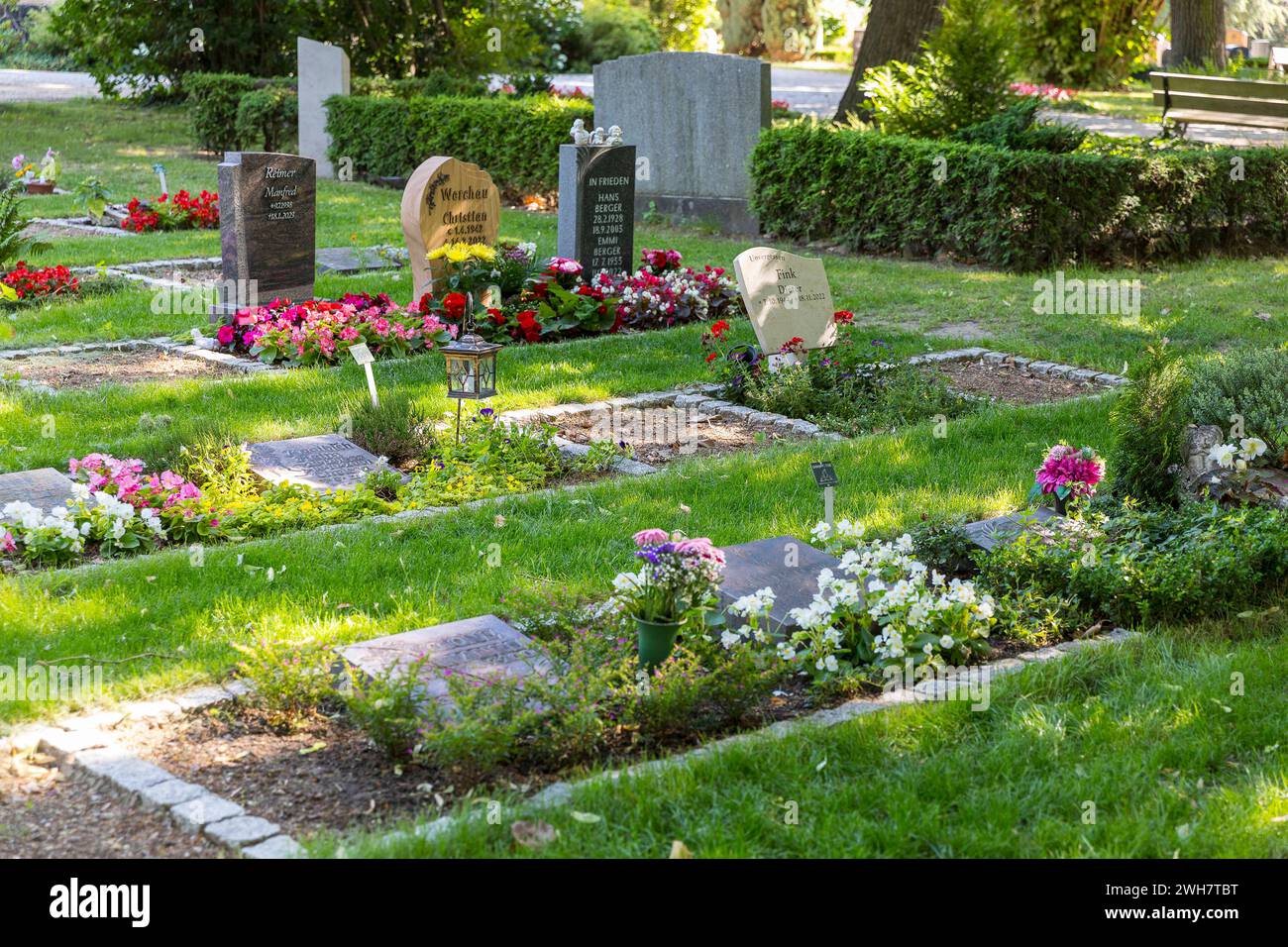 Belegte und leere Grabstellen für Urnengräber auf dem Friedhof Alleestraße in Riesa, Sachsen, Deutschland *** besetzte und leere Grabstellen für Urnengräber Stockfoto