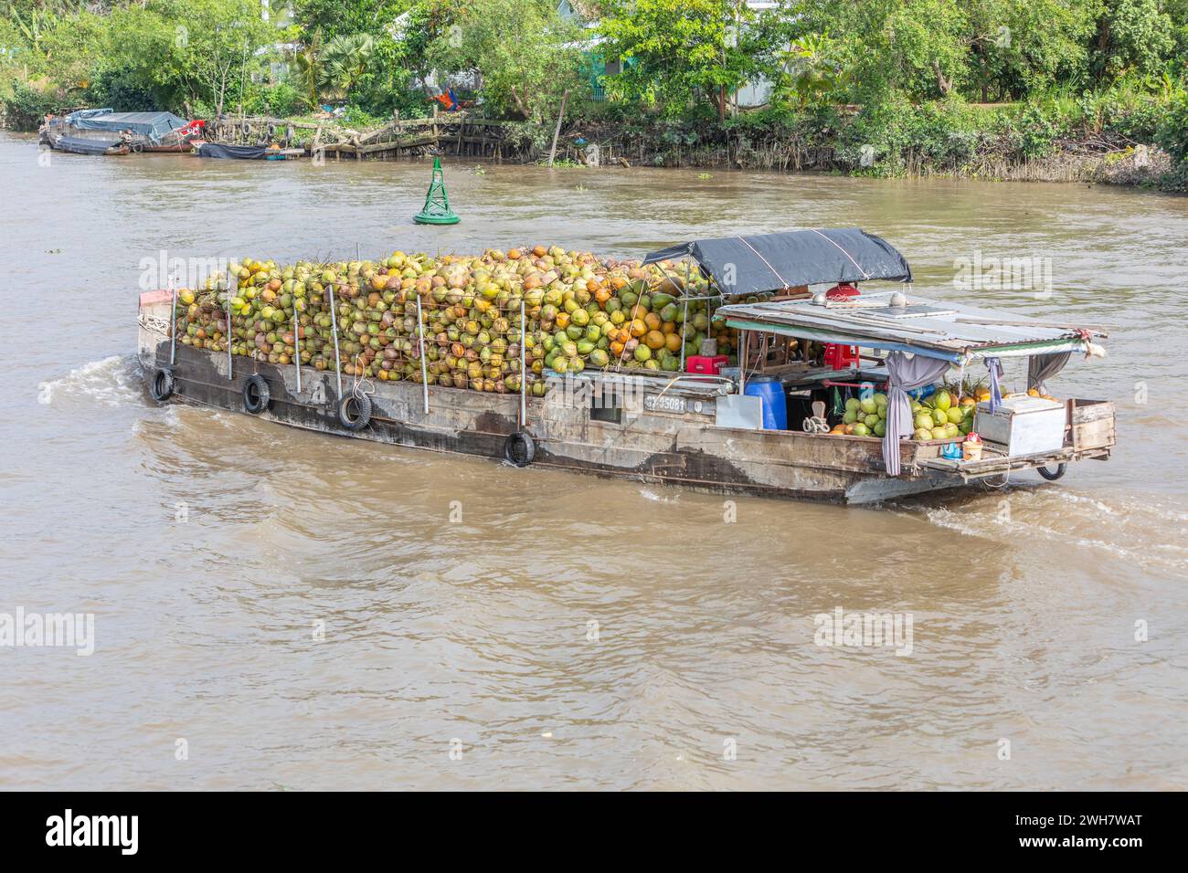 Ein kleines Frachtschiff mit Kokosnüssen, das im Mekong-Delta in Vietnam segelt Stockfoto