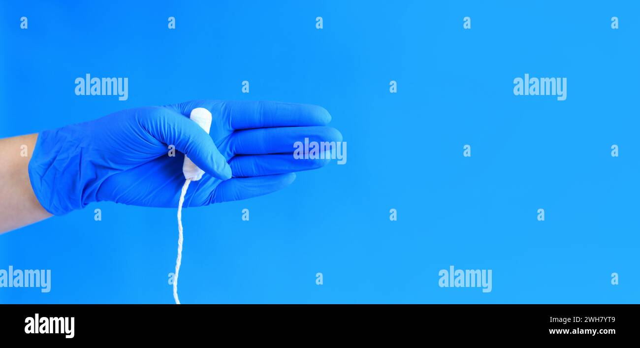 Weibliche Hand mit Tampon, blauer Hintergrund. Eine Hand in einem blauen medizinischen Latexhandschuh hält einen Tampon. Weibliches Körperpflegeprodukt. Sauberer Baumwolltampo Stockfoto