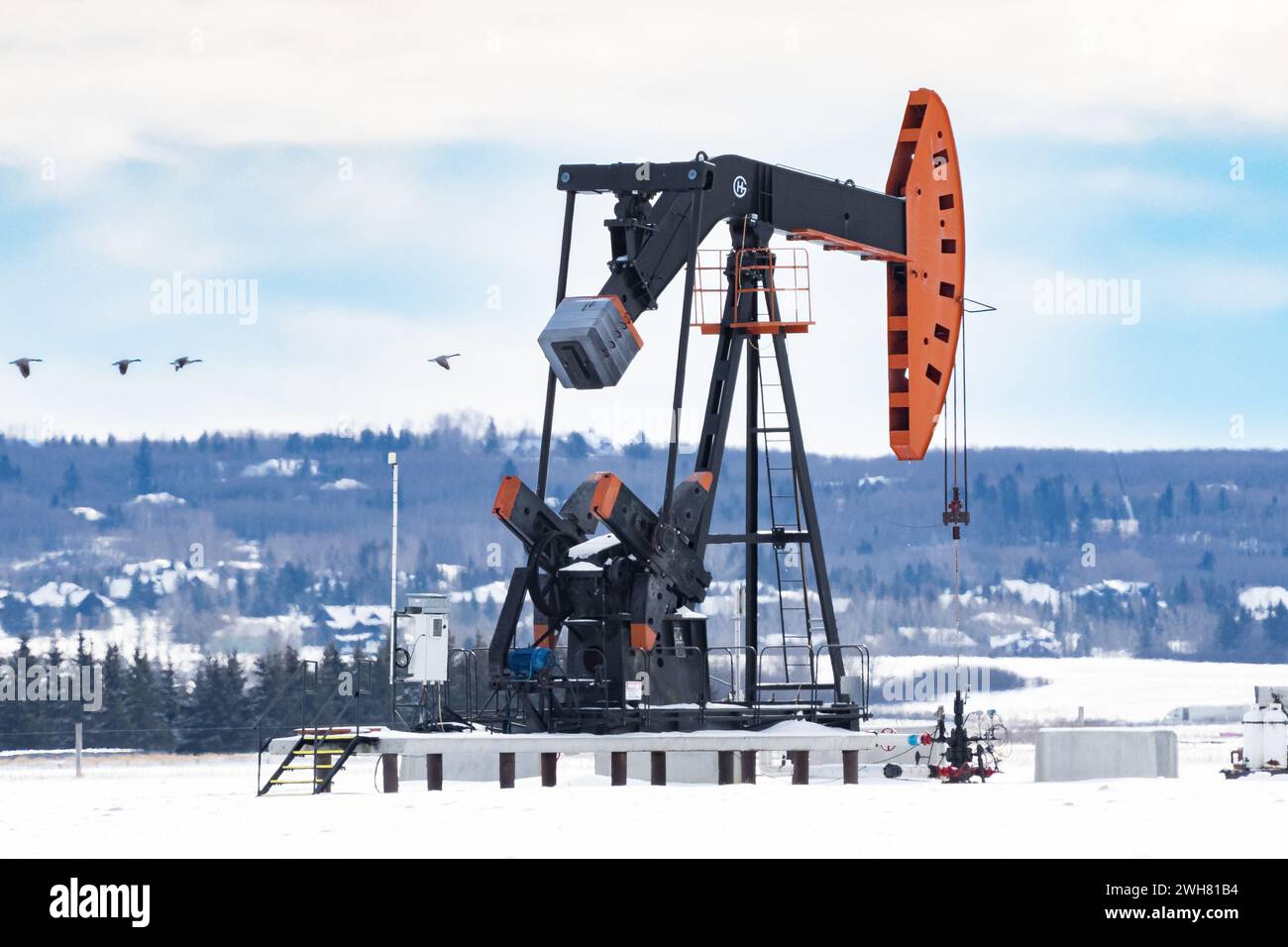 Rocky View County Alberta Canada, 24. Januar 2024: Kanadische Gänse fliegen an einem funktionierenden Ölpumpenheber vorbei auf schneebedeckten Feldern in der Nähe von Calgary Albert Stockfoto