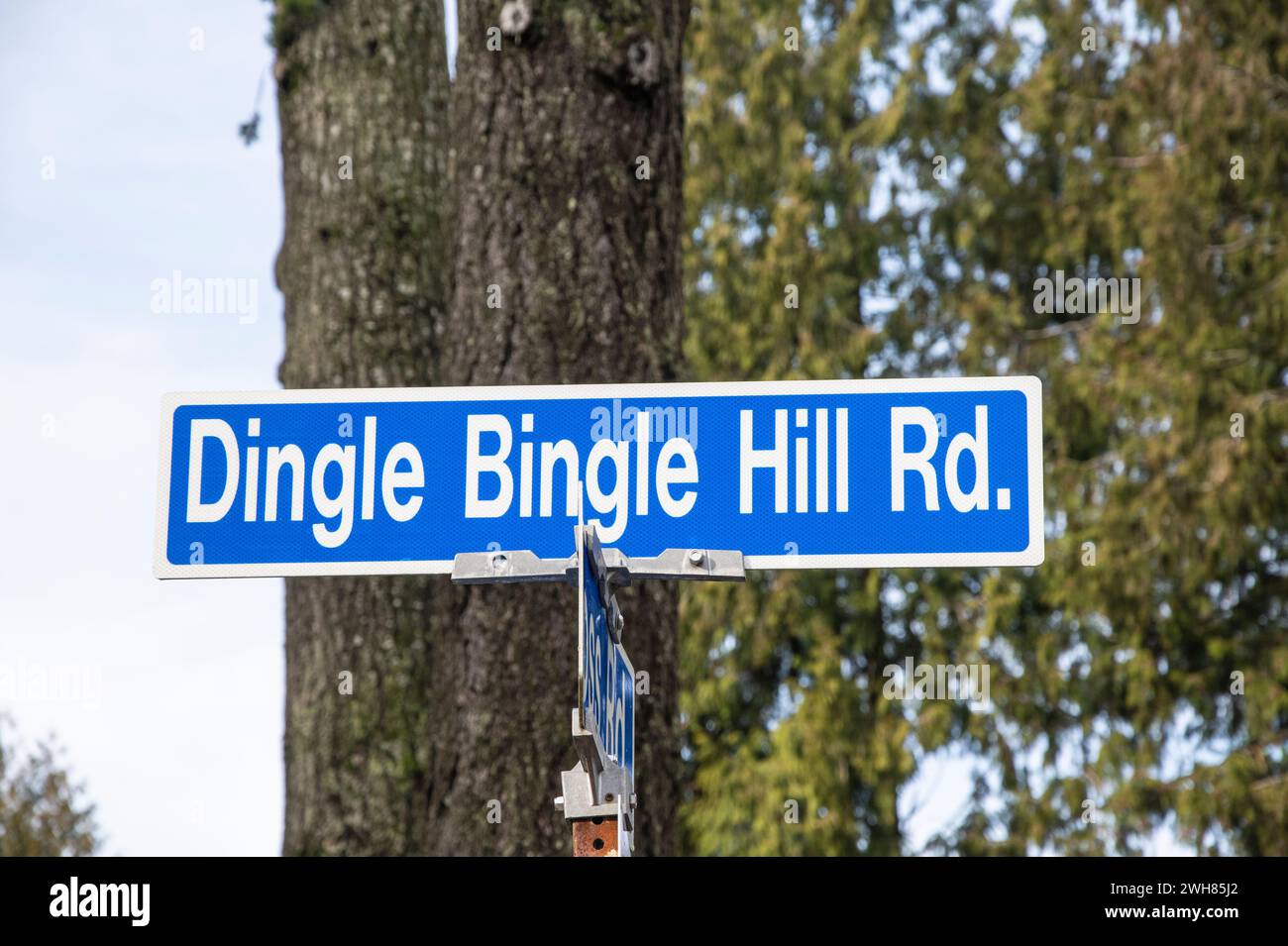 Straßenschild Dingle Bingle Hill Road in Nanaimo, British Columbia, Kanada Stockfoto