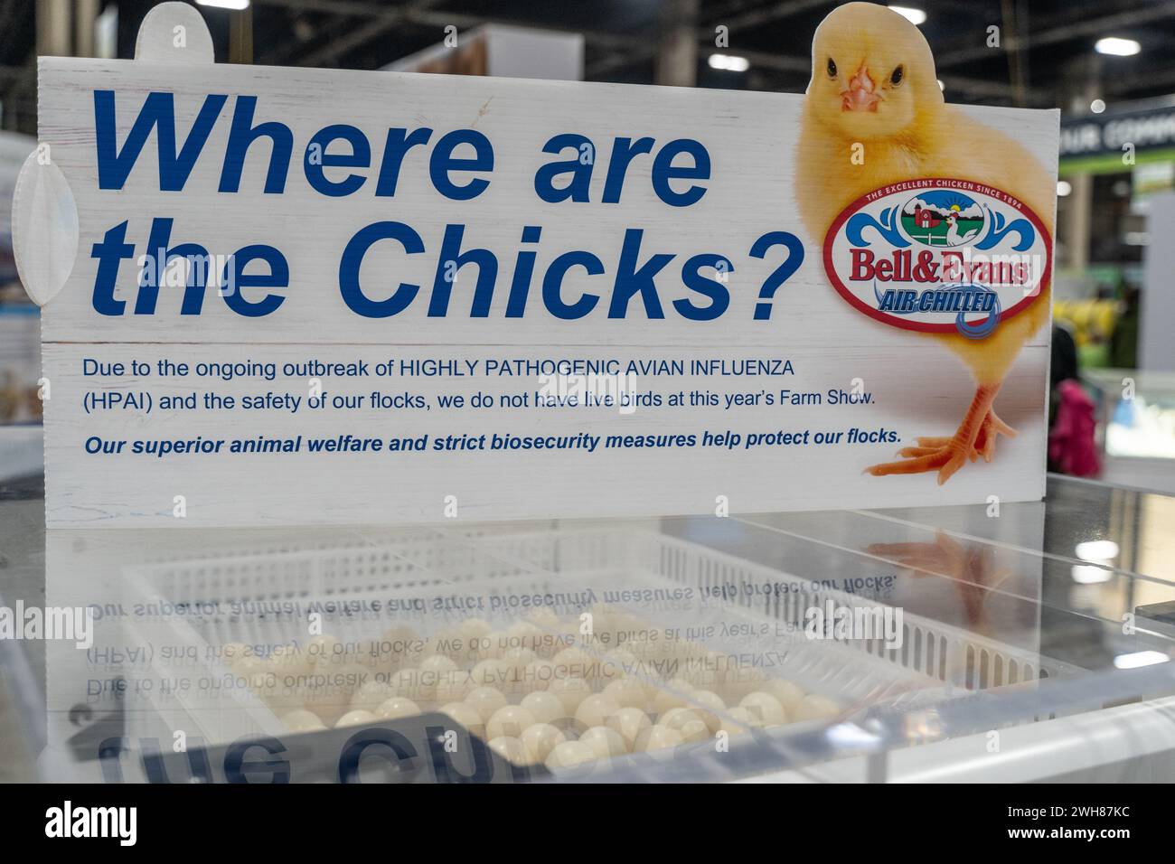 Harrisburg, Pennsylvania - 13. Januar 2024: Schild erklärt, warum es keine Küken auf der Pennsylvnia Farm Show gibt Stockfoto