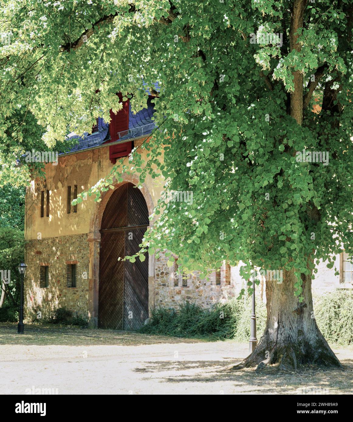 Das aus- und alte Baumhaus des Jagdschlosses Niederwald bei Rüdesheim am Rhein im hessischen Rheingau-Taunus wurde in den 1700er Jahren erbaut Stockfoto