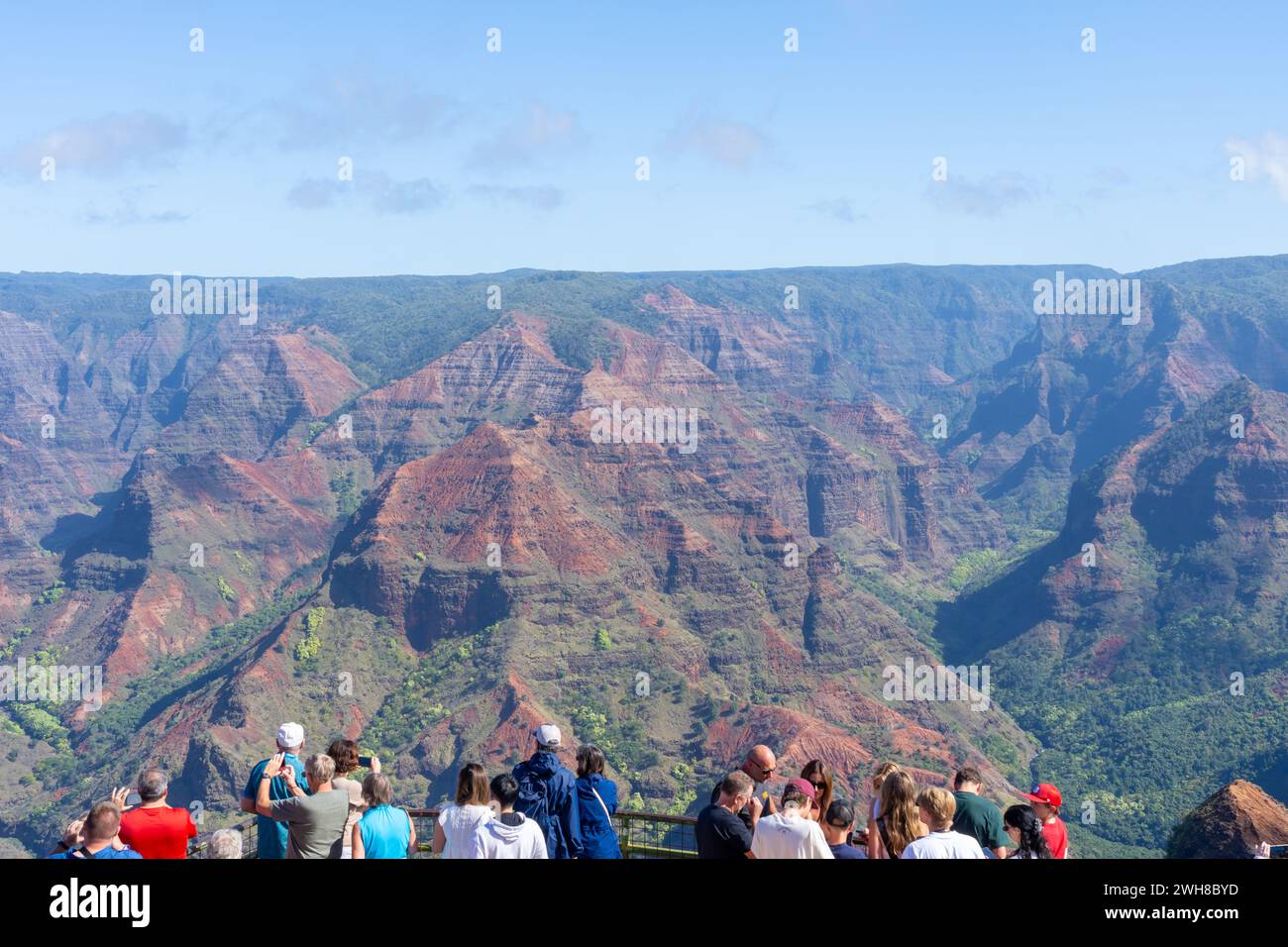Besucher, die Waimea Canyon State Park, Waimea, Hawaii, USA besuchen. Stockfoto