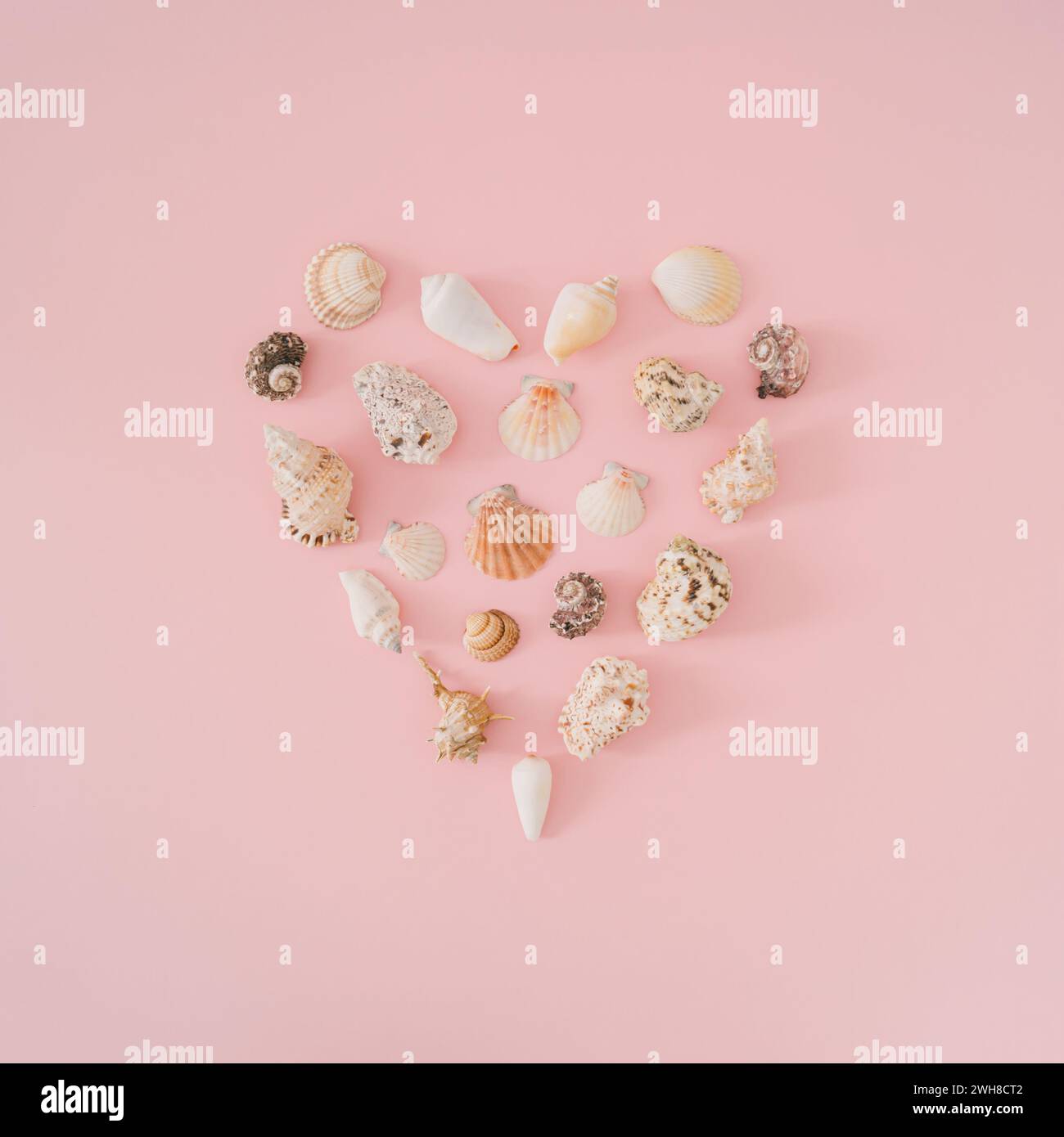 Kreatives Sommerlayout mit Liebesherz-Symbol mit Muscheln auf pastellrosa Hintergrund. Minimales Sommerkonzept. Trendige Idee für den Sommer. Stockfoto
