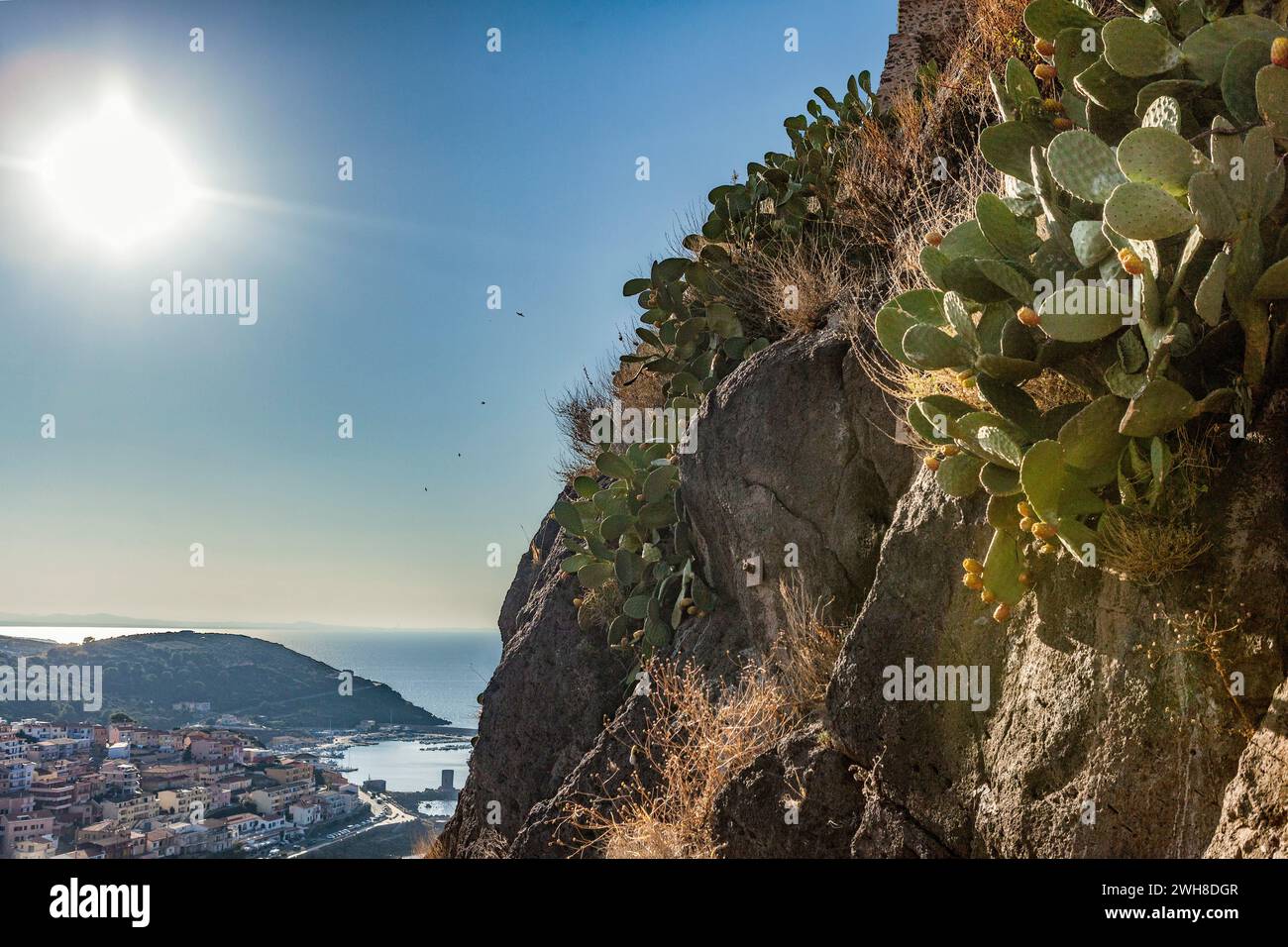 Blick von der Nähe der Burg Doria auf Castelsardo, Sardinien, mit Kakteen Stockfoto