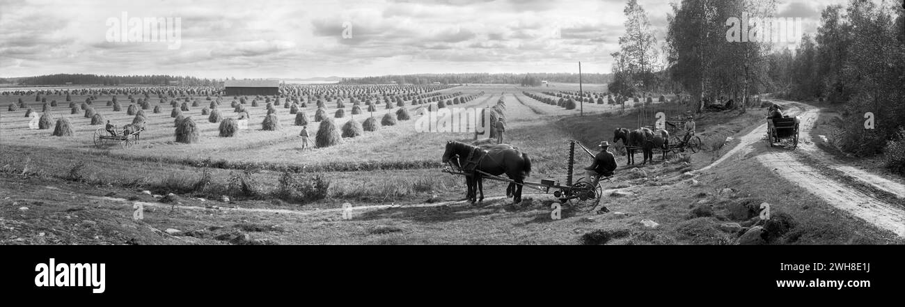 Mustiala School of Agriculture, Finnische Landwirtschaft, 1899. Digitalisiert und kombiniert aus 3 Originalnegativ um 1899. Fotograf: I. K. Inha Stockfoto