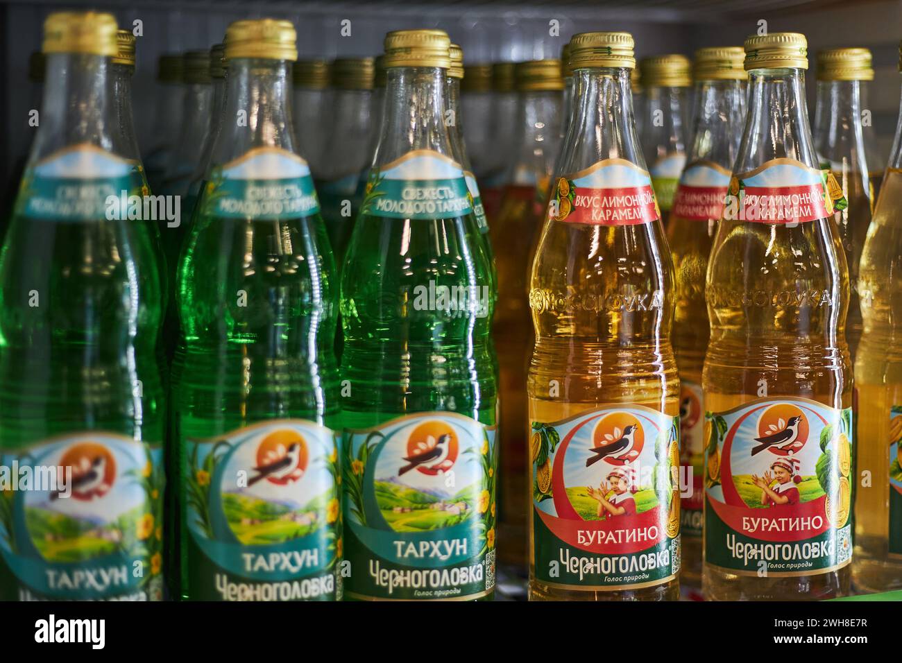 Lagern Sie das Regal mit Glasflaschen mit Limonade verschiedener Geschmacksrichtungen. Russische Marke Tschernogolovka, Aromen von Estragon und Pinocchio. Getränke-Editorial, beliebtes Auto Stockfoto