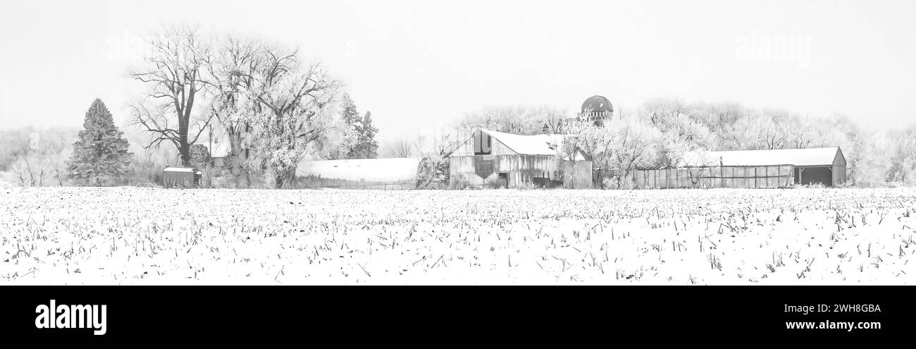 Verschneite Felder und Bauernhof mit Bäumen bedeckt mit Reimeis im Winter in Schwarz-weiß in Taylors Falls, Minnesota, USA. Stockfoto
