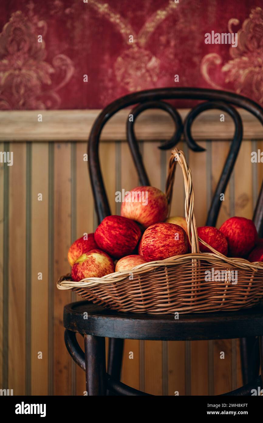 Frisch gepflückte Äpfel in einem Korb Stockfoto