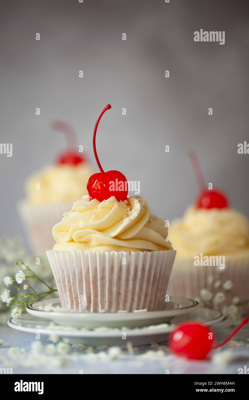 Cupcakes aus weißer Schokolade mit Buttercreme aus weißer Schokolade, geriebener weißer Schokolade und Maraschino-Cerries. Garniert mit Buttercreme, weiß gerieben Stockfoto