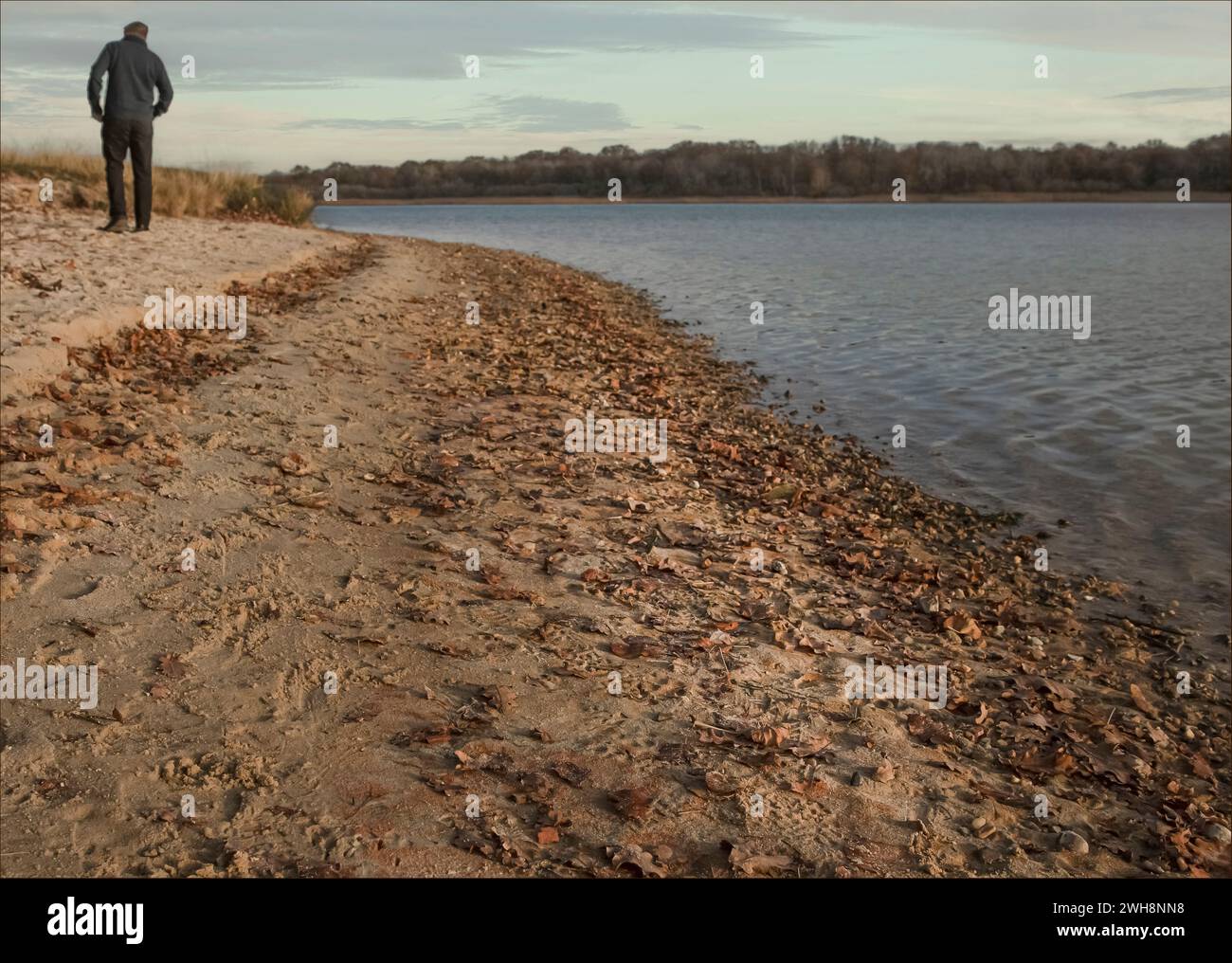 Mann, der am Strand auf einem See entlang läuft, während die Sonne untergeht Stockfoto