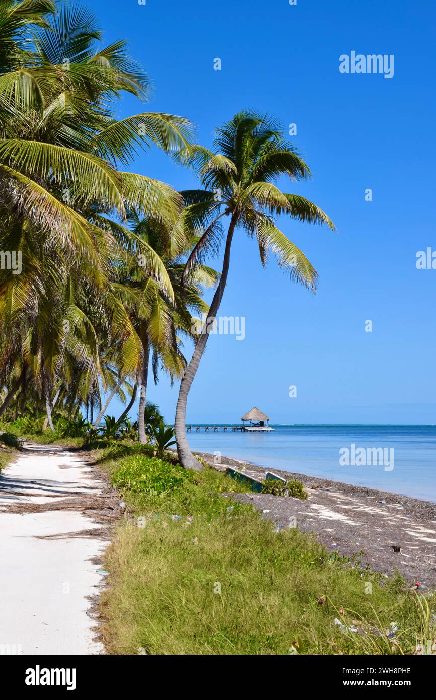 Die sandige, unbefestigte Straße entlang der Küste im Norden von Ambergris Caye, Belize, Mittelamerika. Im Hintergrund ist ein Pier mit einem Palapa zu sehen. Stockfoto