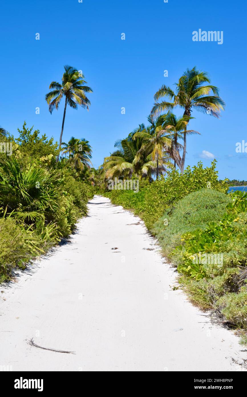 Die sandige, unbefestigte Straße entlang der Küste im Norden von Ambergris Caye, Belize, Mittelamerika. Stockfoto