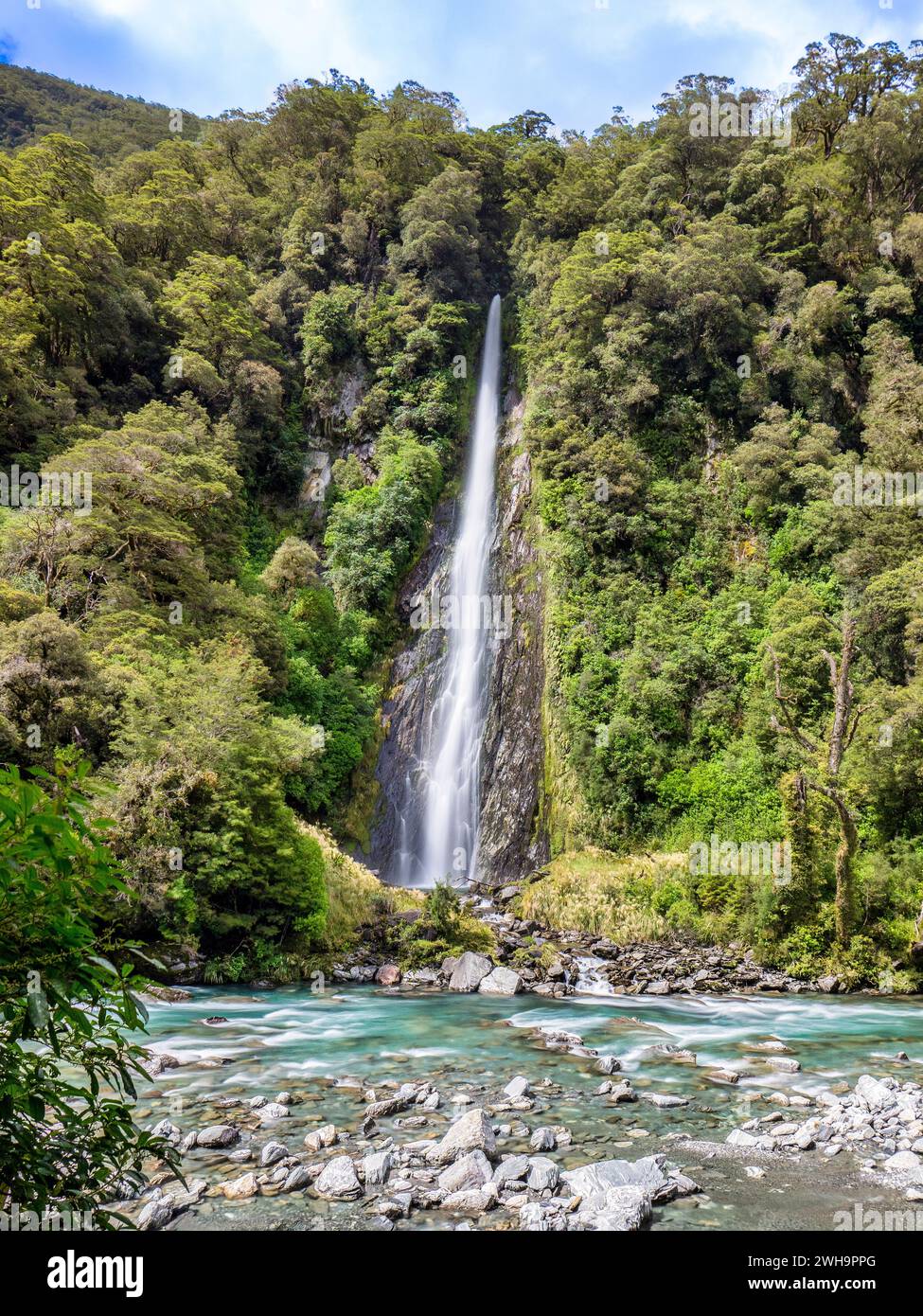 Die Thunder Creek Falls, die in den Haast River münden, in der West Coast Region Neuseelands. Stockfoto