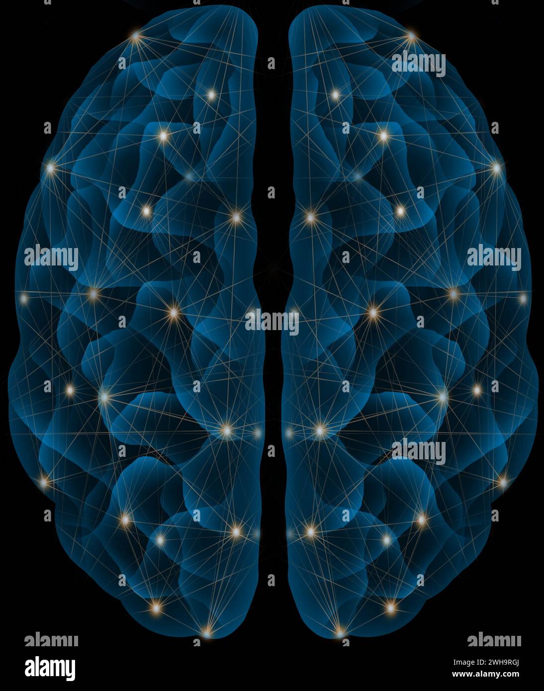Menschliches Gehirn mit blau leuchtendem futuristischem neuronalen Netzbild Stockfoto